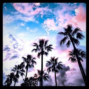 Meet your Posher, Mya